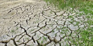 Les pluies intenses ont-elles mis fin à la sécheresse dans le sud ?