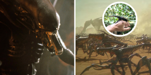 Alien, Starship Troopers, Predator… Ces vraies créatures qui ont inspiré les plus grands monstres du cinéma