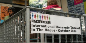 Les tribunaux de la planète (2/4) : Monsanto à la barre