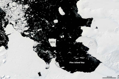Un gigantesque iceberg dérive dans l'Antarctique