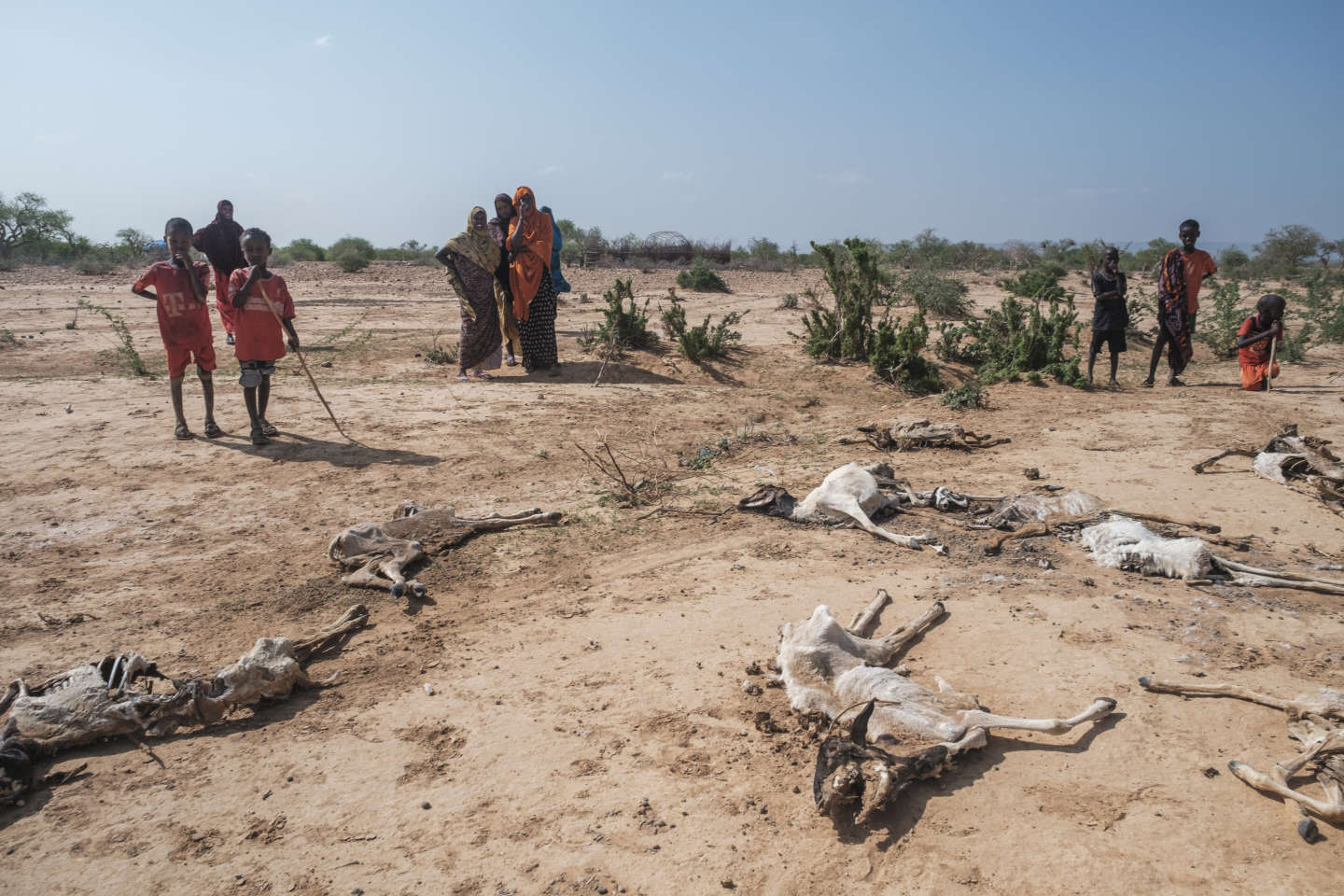 La Corne de l’Afrique se prépare à une cinquième saison des pluies consécutive ratée
