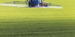 Pesticides : comment le changement d’indicateur permet artificiellement d’atteindre les objectifs du plan Ecophyto
