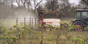 Pesticides : « Avec son nouveau plan Ecophyto, le gouvernement persiste dans une politique d’immobilisme vieille de vingt ans »