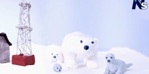  L’ours polaire, menacé par l’homme avant le changement climatique