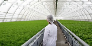 « Cultiver autrement » : dix projets scientifiques pour réduire la dépendance aux produits phytosanitaires