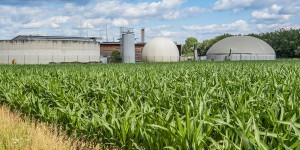 Bioénergies : un projet de décret sur les critères de durabilité est mis en consultation