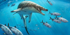 Ce reptile marin géant devait être la terreur des océans il y a 66 millions d’années