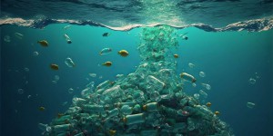 L’équivalent d’un camion-poubelle de plastique se déverse dans l’océan chaque minute  !