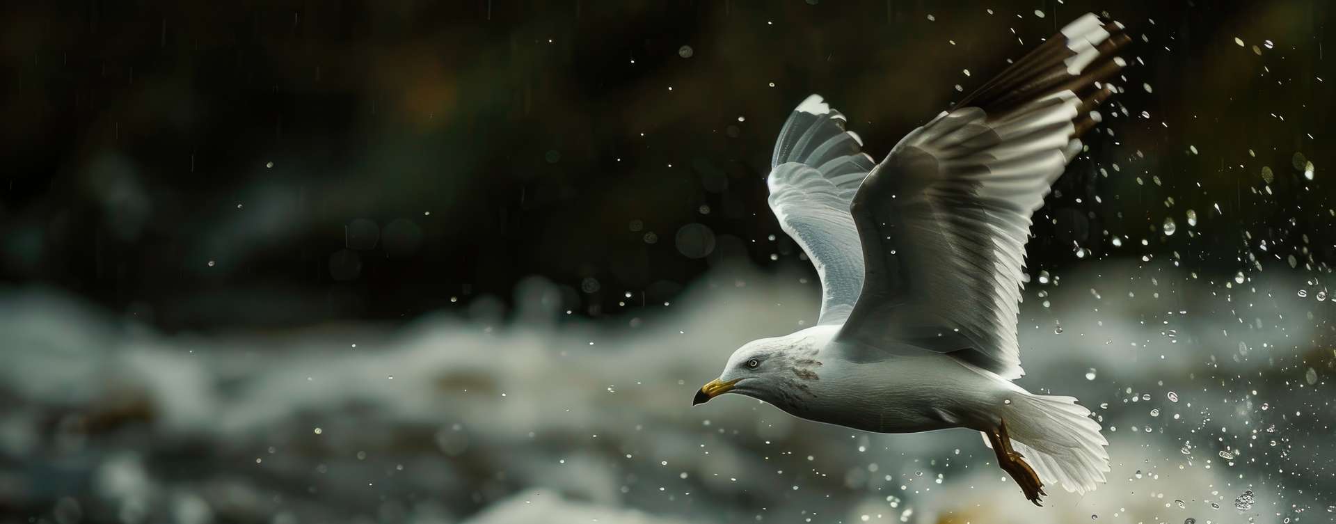 Ouragans : votre premier réflexe est de les fuir ? Ces oiseaux les pourchassent !