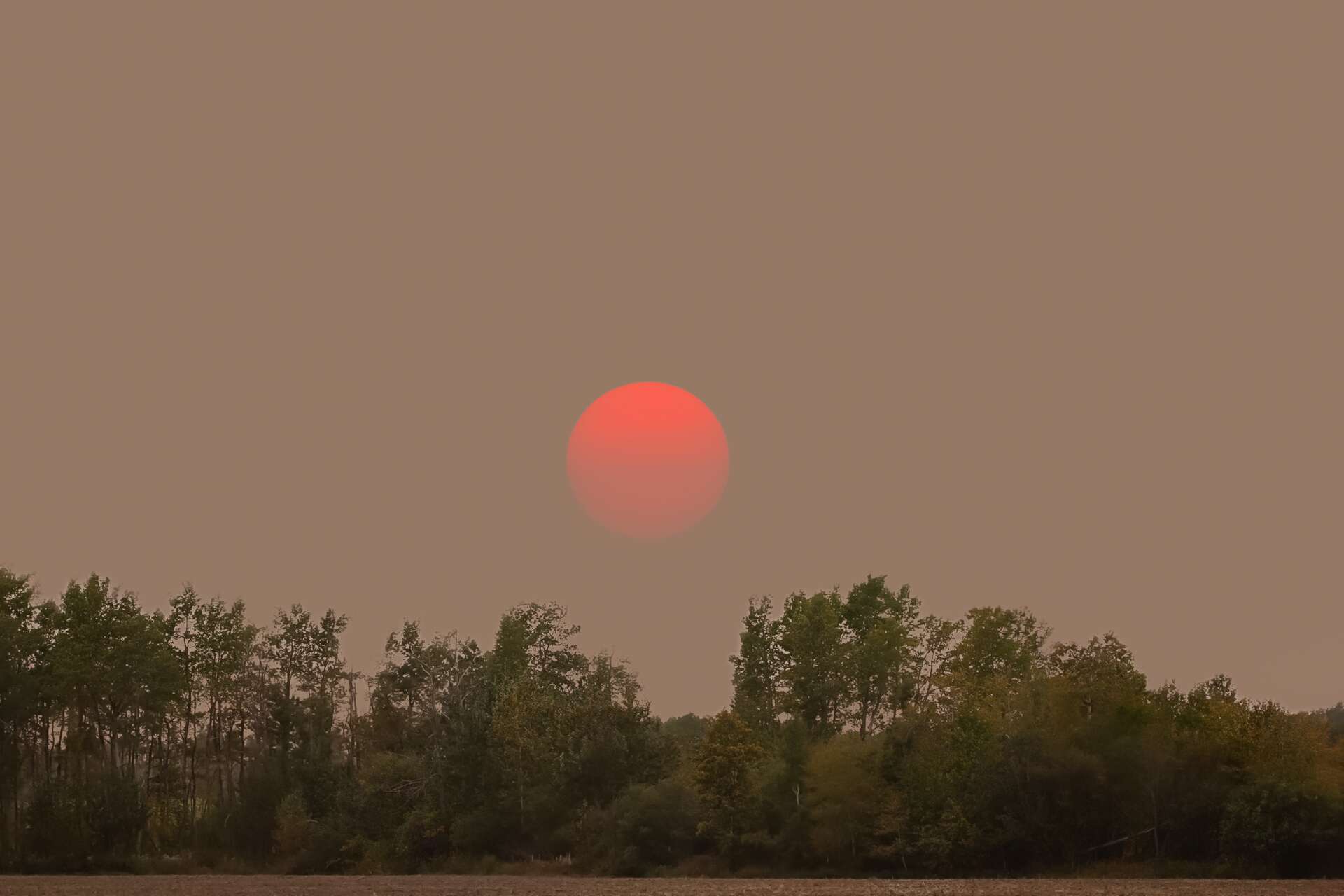 Les étranges couchers de Soleil visibles en ce moment sont liés à un drame à l’autre bout de la Planète !