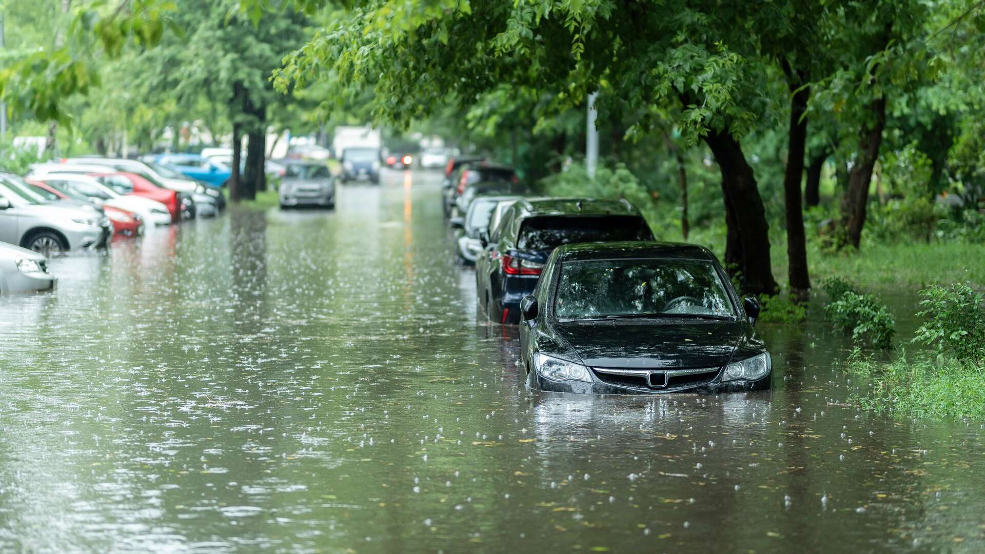 Un barrage a cédé sous la pression de l’eau en Pologne, conséquence des inondations dramatiques