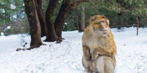 Le jour où il a fait -23,9 °C au Maroc : un record absolu de froid en Afrique !