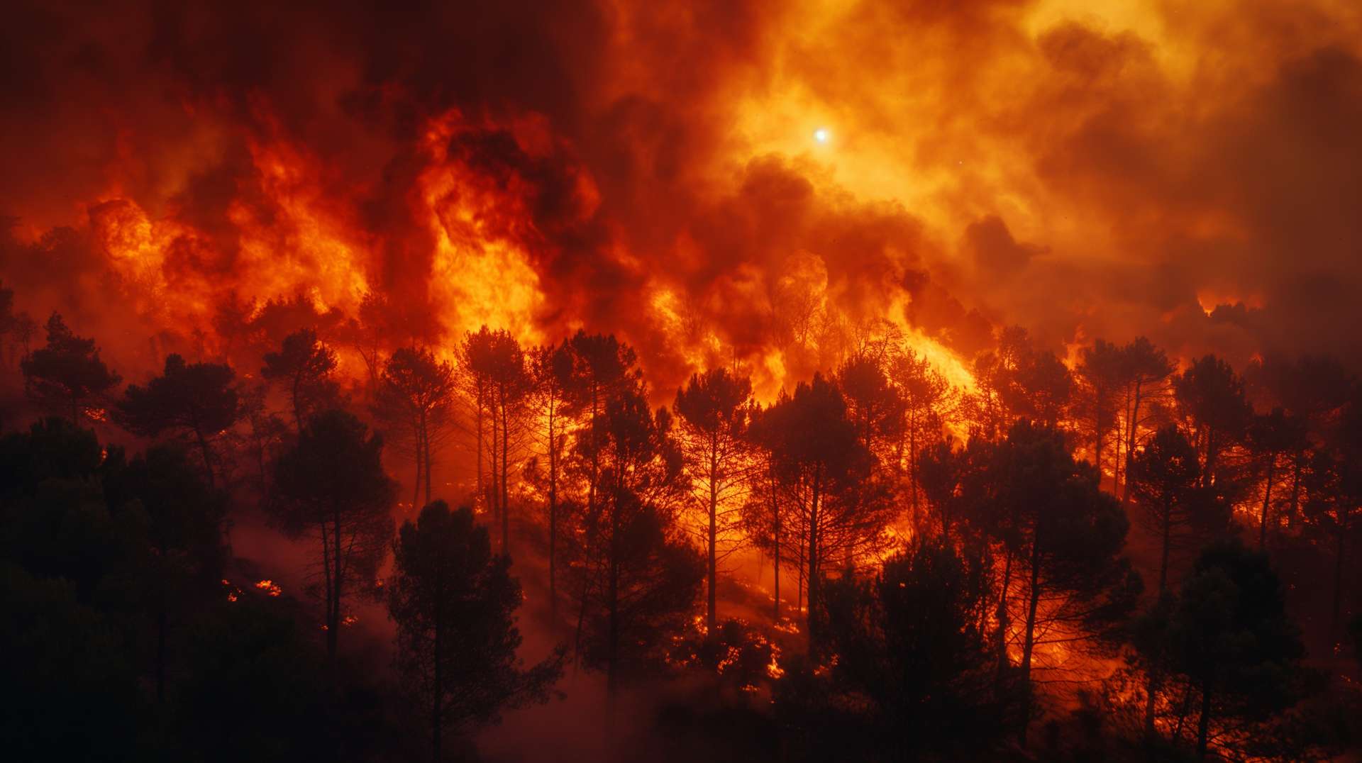 Portugal : des incendies hors de contrôle attisés par la chaleur et une sécheresse extrême