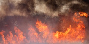 Alerte au Brésil : des incendies de forêt ravagent le Pantanal, la plus grande zone humide du monde