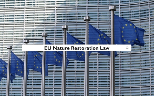 L'UE adopte finalement la loi sur la restauration de la nature : décision historique pour sauver la biodiversité