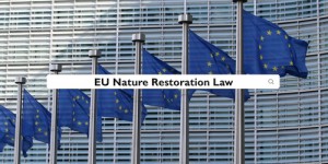 L'UE adopte finalement la loi sur la restauration de la nature : décision historique pour sauver la biodiversité