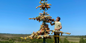 Pollution plastique : cette sculpture étonnante représente un an de consommation de bouteilles