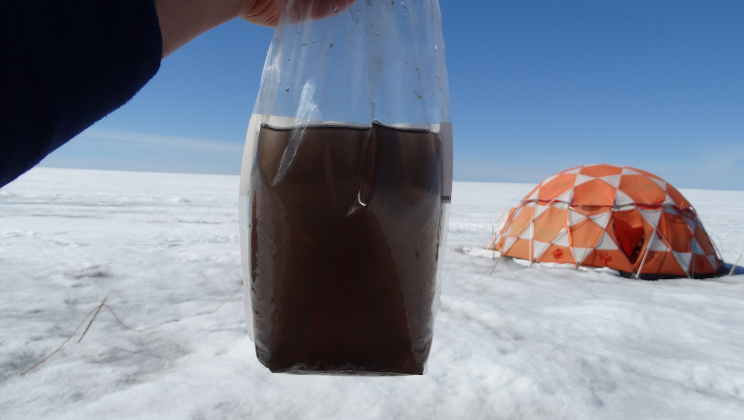 Des virus géants découverts au Groenland pourraient aider à limiter la fonte des glaces