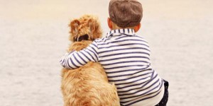 « C'est la première fois en France qu'un hôpital recrute un chien à temps plein » : quand les animaux nous soignent