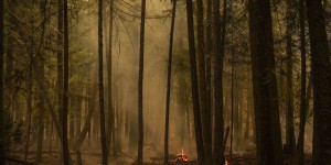 Plus de 300 feux de forêt en Colombie-Britannique