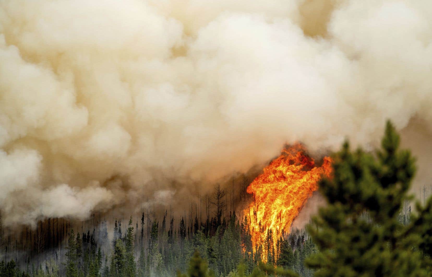 Pas moins de 94 nouveaux incendies de forêt en Colombie-Britannique