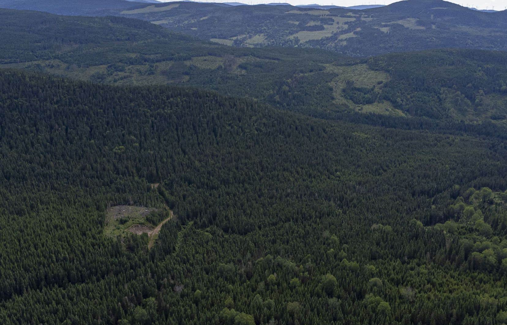 Québec réformera le régime forestier