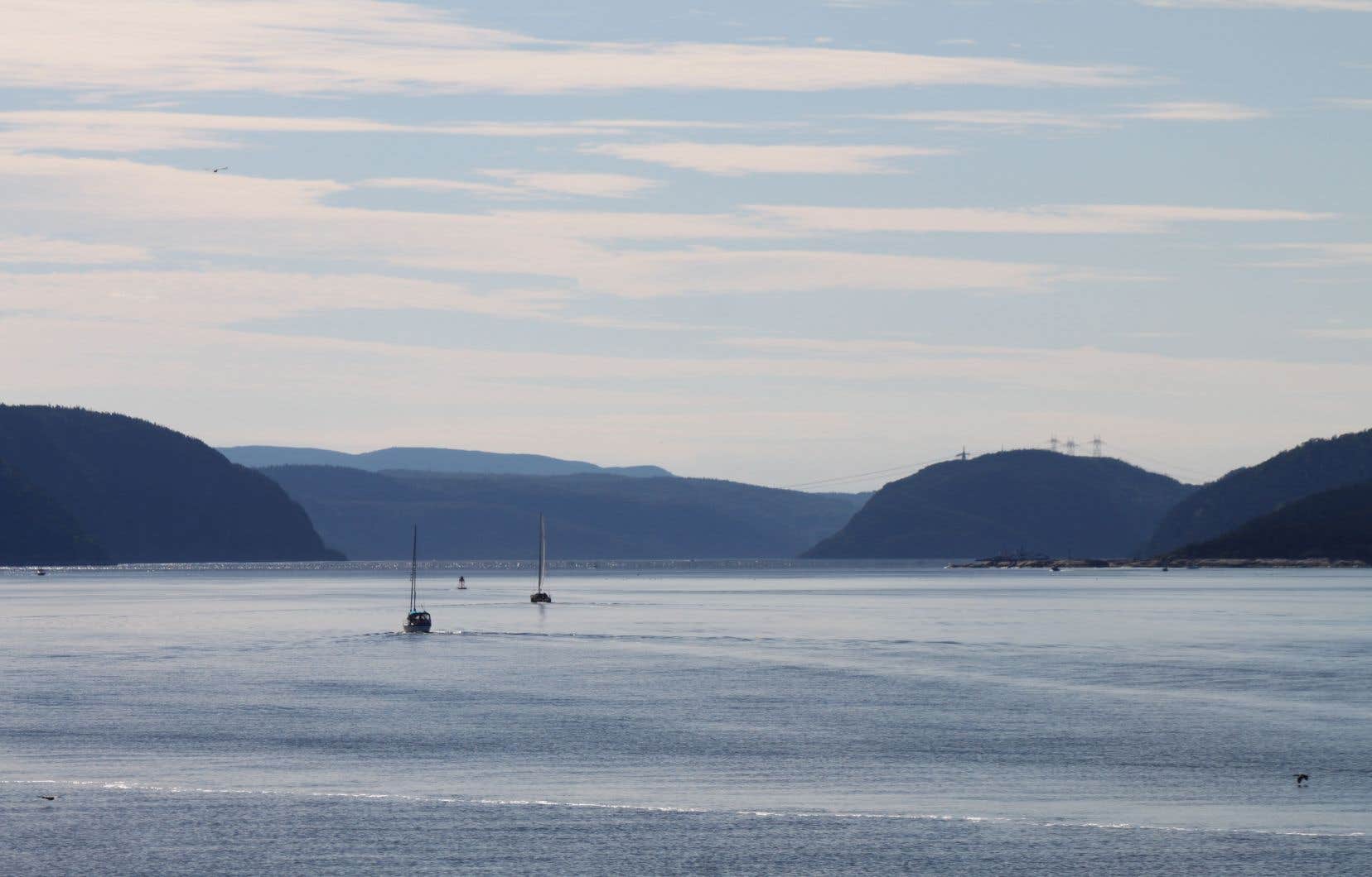 Des scientifiques analyseront les plastiques dans le parc marin Saguenay-Saint-Laurent