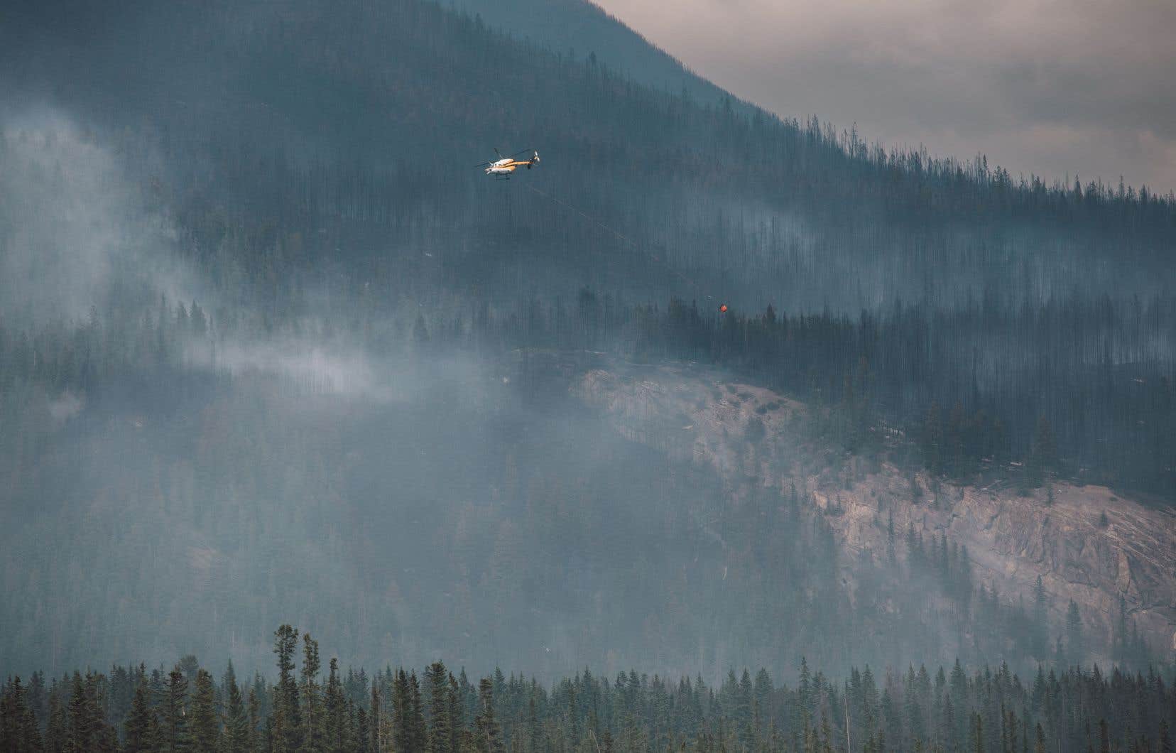 Le feu de forêt de Jasper est plus actif en raison du temps chaud