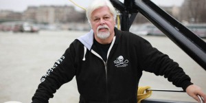 Le Japon demande l’extradition de Paul Watson