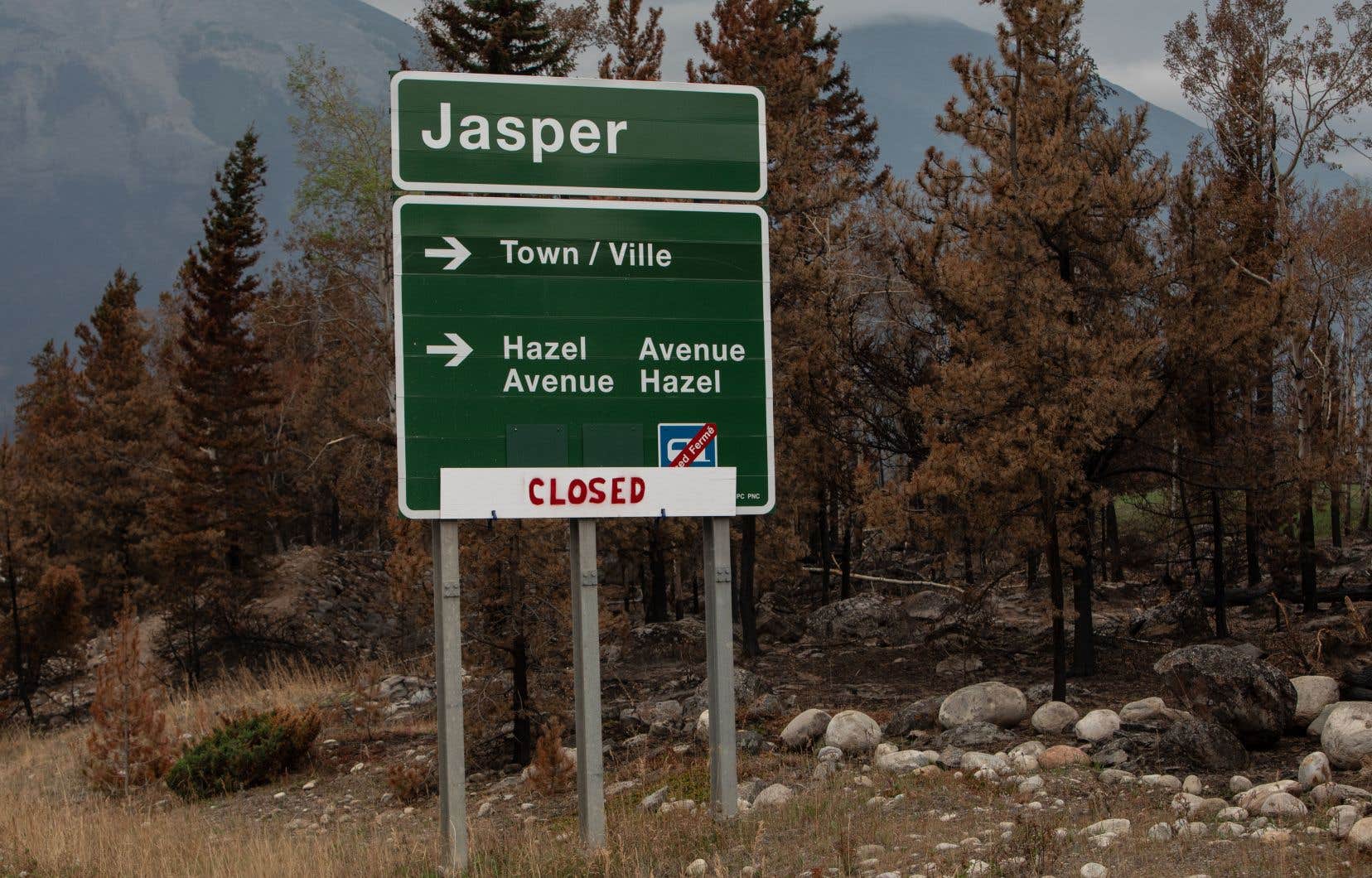 Parcs Canada indique que l’incendie de forêt de Jasper n’est plus « hors de contrôle »