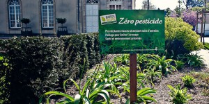 Pesticides : en ville, si on passait au «zéro phyto» ?