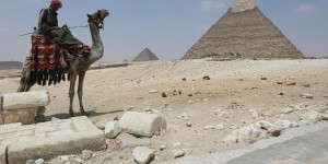 Egypte : les dromadaires ne bosseront plus pour les touristes