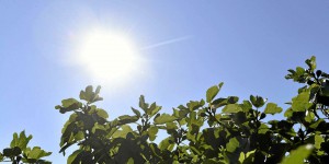 Canicule : 39 départements en vigilance orange ce lundi