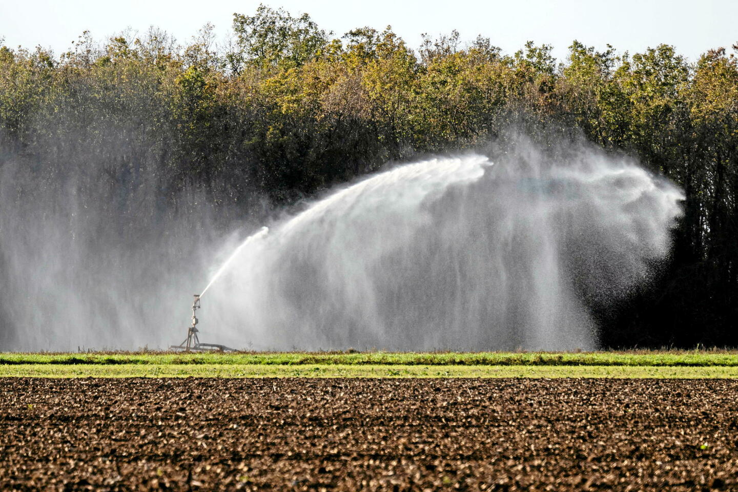 Le niveau des nappes phréatiques est très satisfaisant en juillet, à une exception près