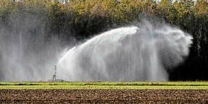 Le niveau des nappes phréatiques est très satisfaisant en juillet, à une exception près