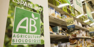 Agriculture bio : le fonds d’urgence réhaussé à 90 millions d’euros par le gouvernement