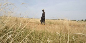 Au Sahel, la vague de chaleur extrême est bien due au changement climatique