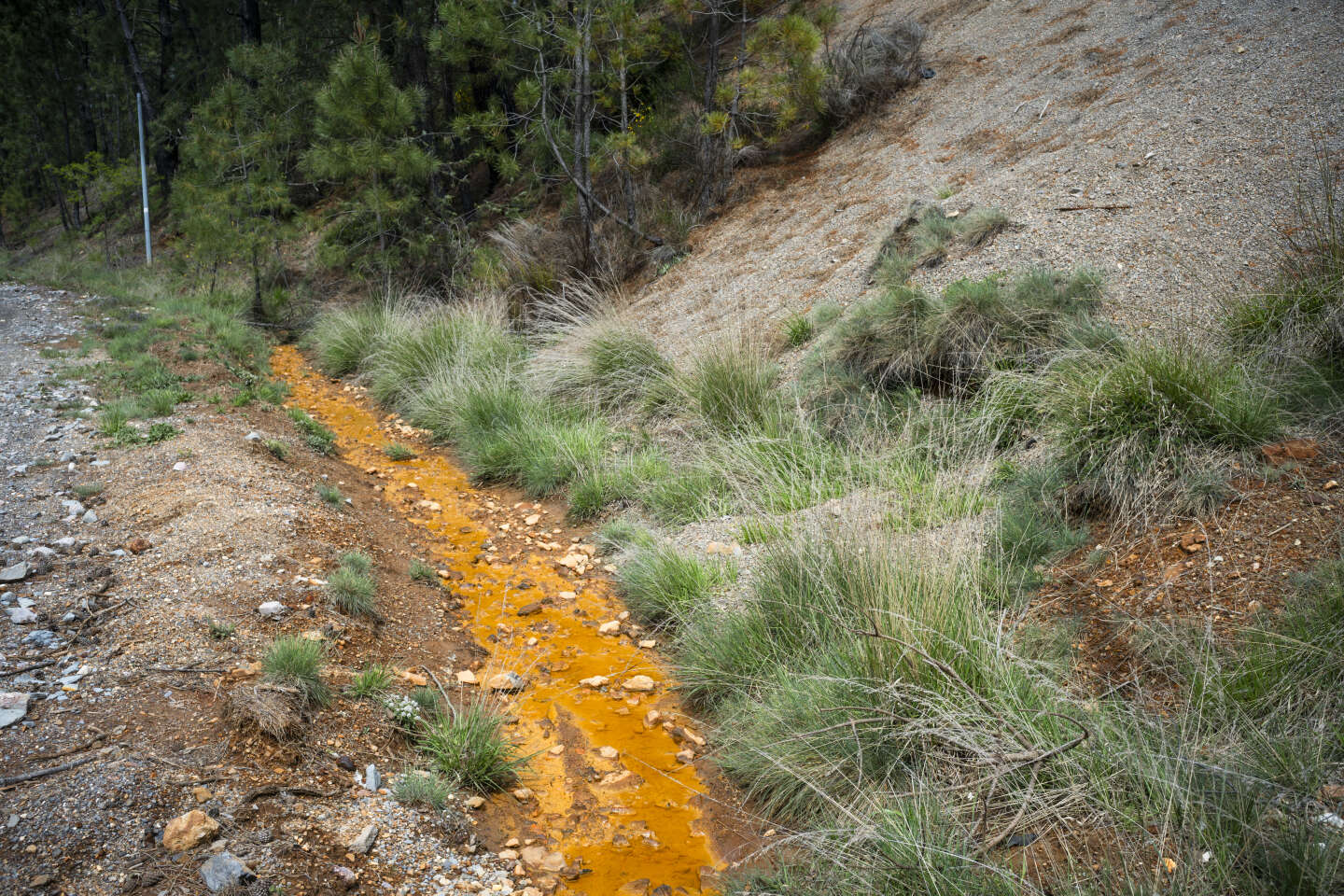 Dans les Cévennes, l’héritage empoisonné de l’après-mine