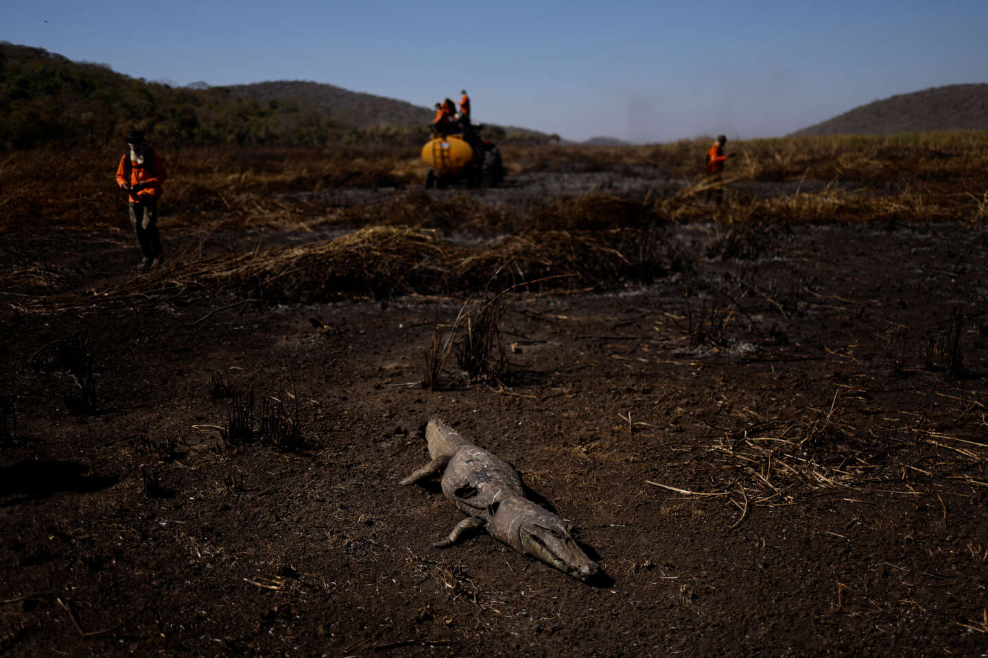 Au Brésil, le Pantanal, trésor de biodiversité, est déjà la proie des flammes