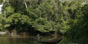 En Côte d’Ivoire, un accident industriel fait craindre une pollution fluviale au cyanure d’envergure