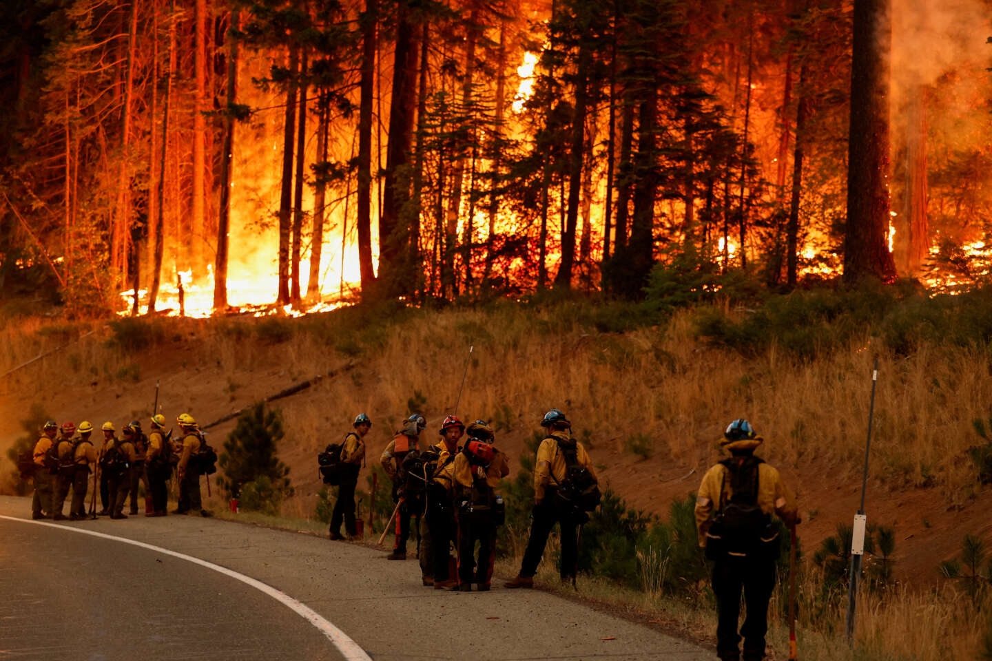 Les images du mégafeu qui ravage des hectares de forêts en Californie