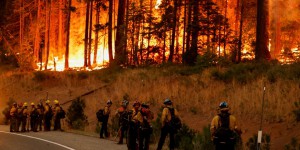 Les images du mégafeu qui ravage des hectares de forêts en Californie