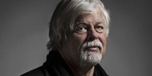 Paul Watson maintenu en détention provisoire au Groenland, après le rejet de son recours