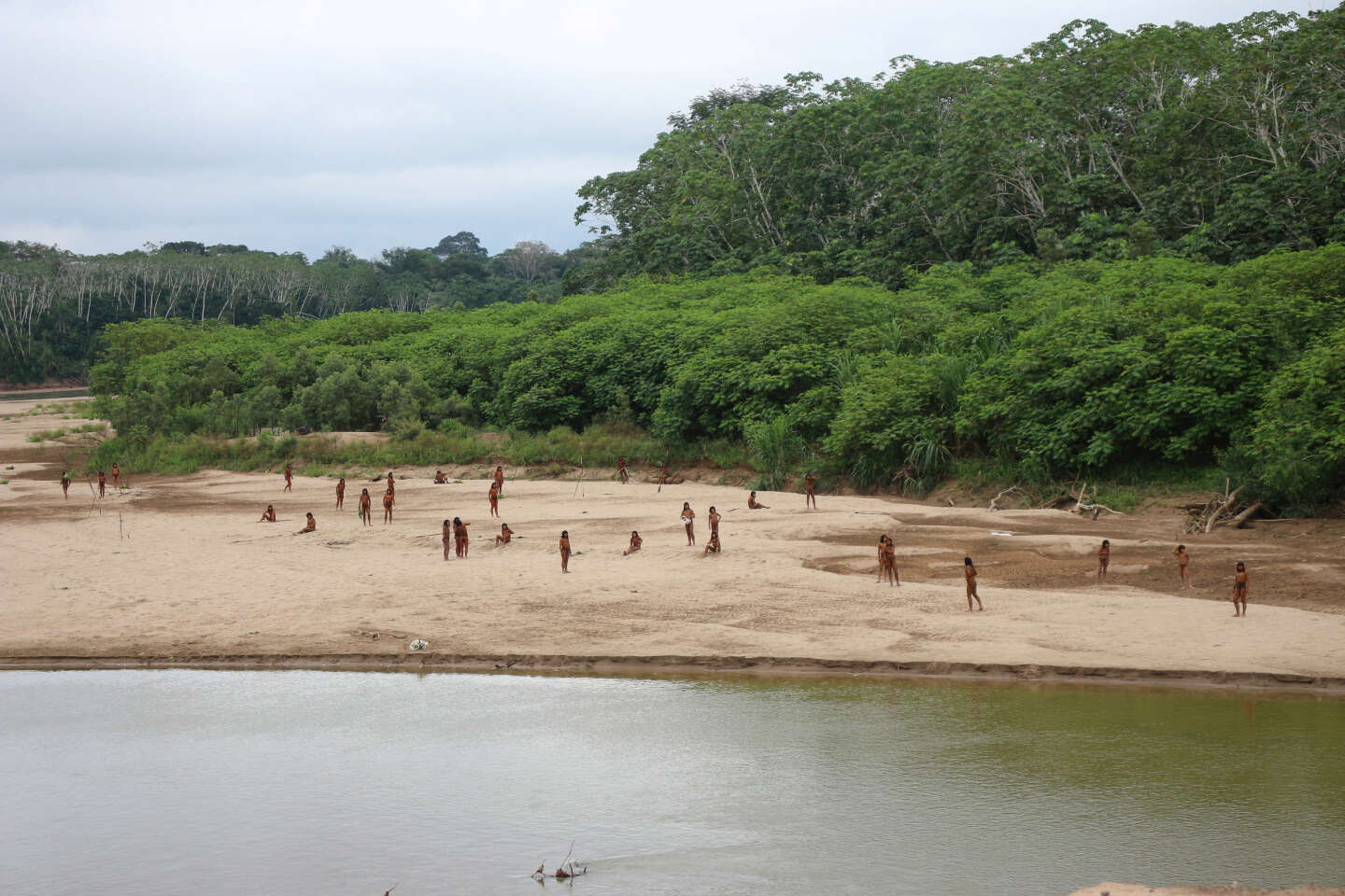 Au Pérou, la plus grande tribu autochtone non contactée au monde perturbée par la déforestation