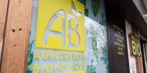 Agriculture bio : des mesures insuffisantes pour sortir de l'impasse ?