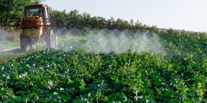 Phytosanitaires : le ministère ouvre le chantier des « distorsions de concurrence »