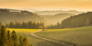 Le Conseil de l'Union européenne sauve le règlement sur la restauration de la nature