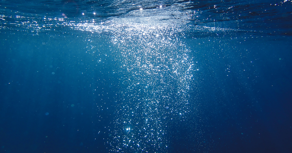 Lhyfe veut réoxygéner la mer Baltique tout en produisant de l'hydrogène vert