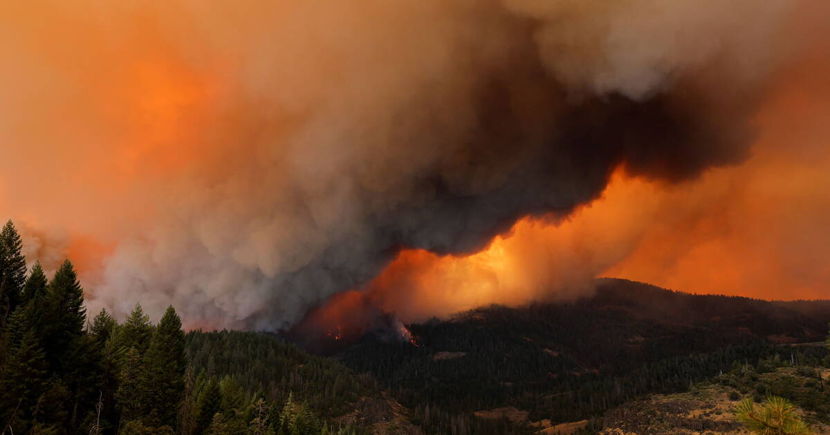 EN IMAGES - Les flammes du «Park Fire» consument la Californie