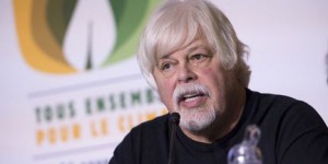 Après son arrestation au Groenland, le fondateur de Sea Shepherd Paul Watson 'va bien' et n'a 'aucun regret', selon l'ONG